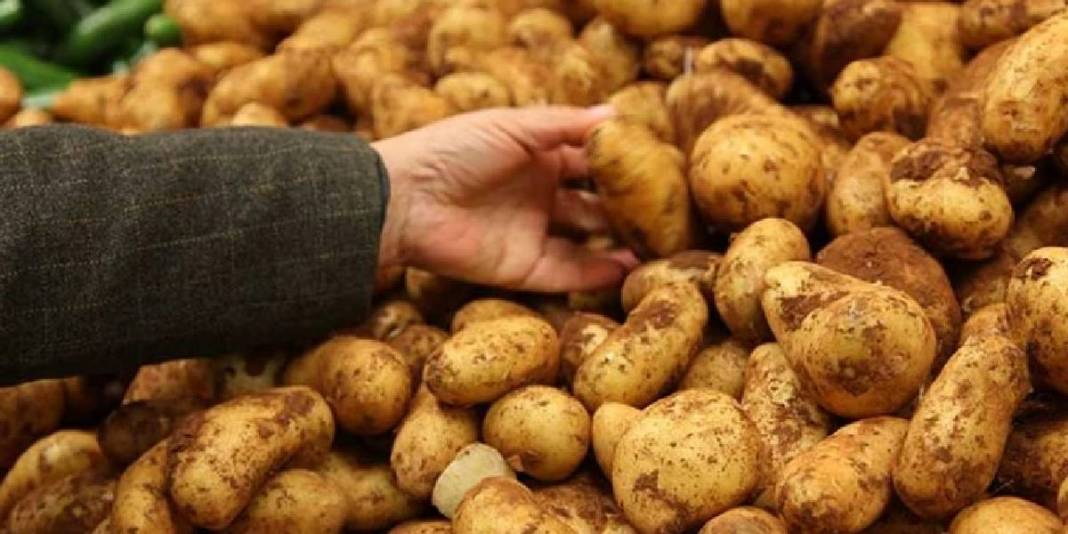 Patatesler bozulmadan aylarca dayanıyor! Ne filizlenme ne de küf: Doğru saklama yöntemiyle tanışın! 1